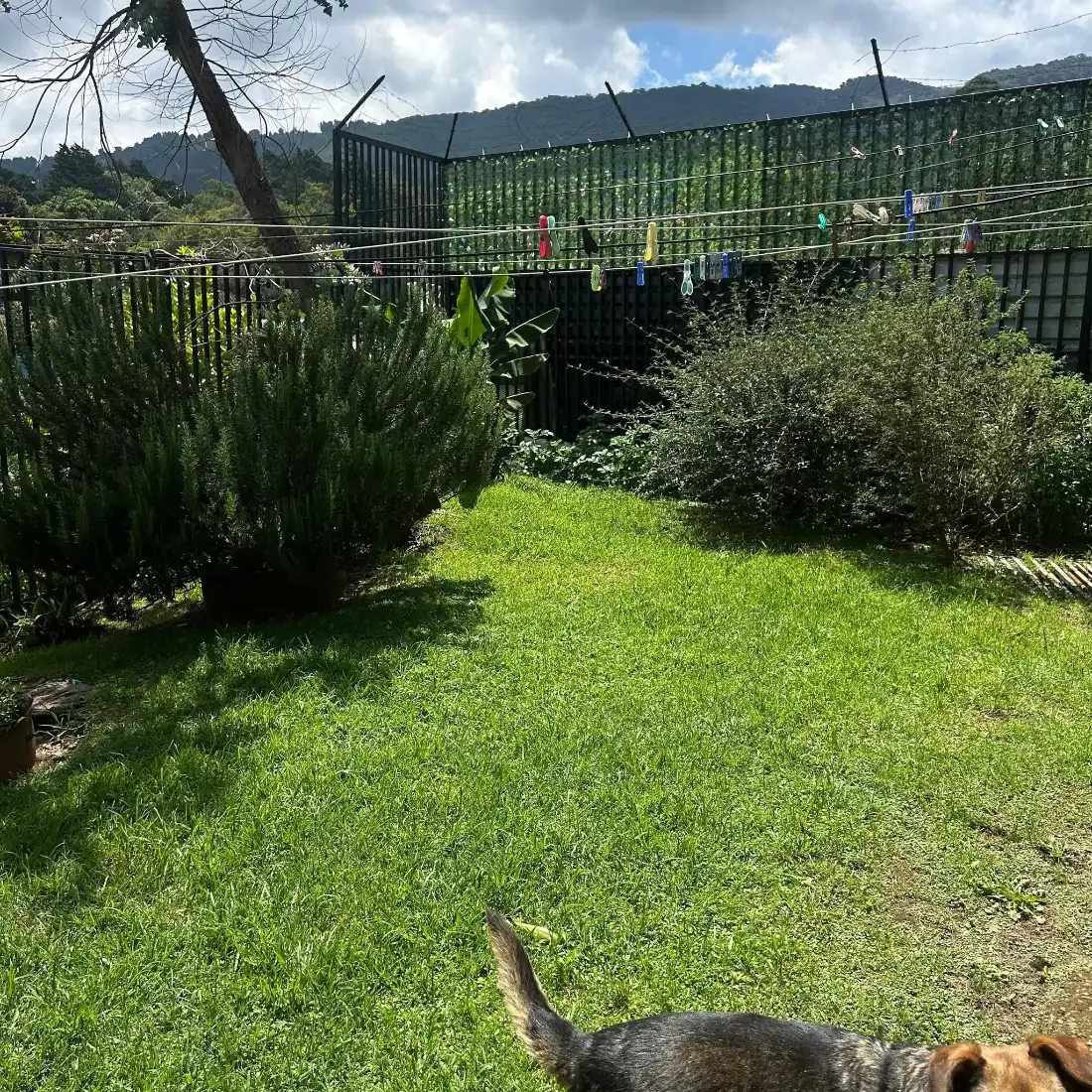 Casa con vista a las montañas del Poás — foto 6