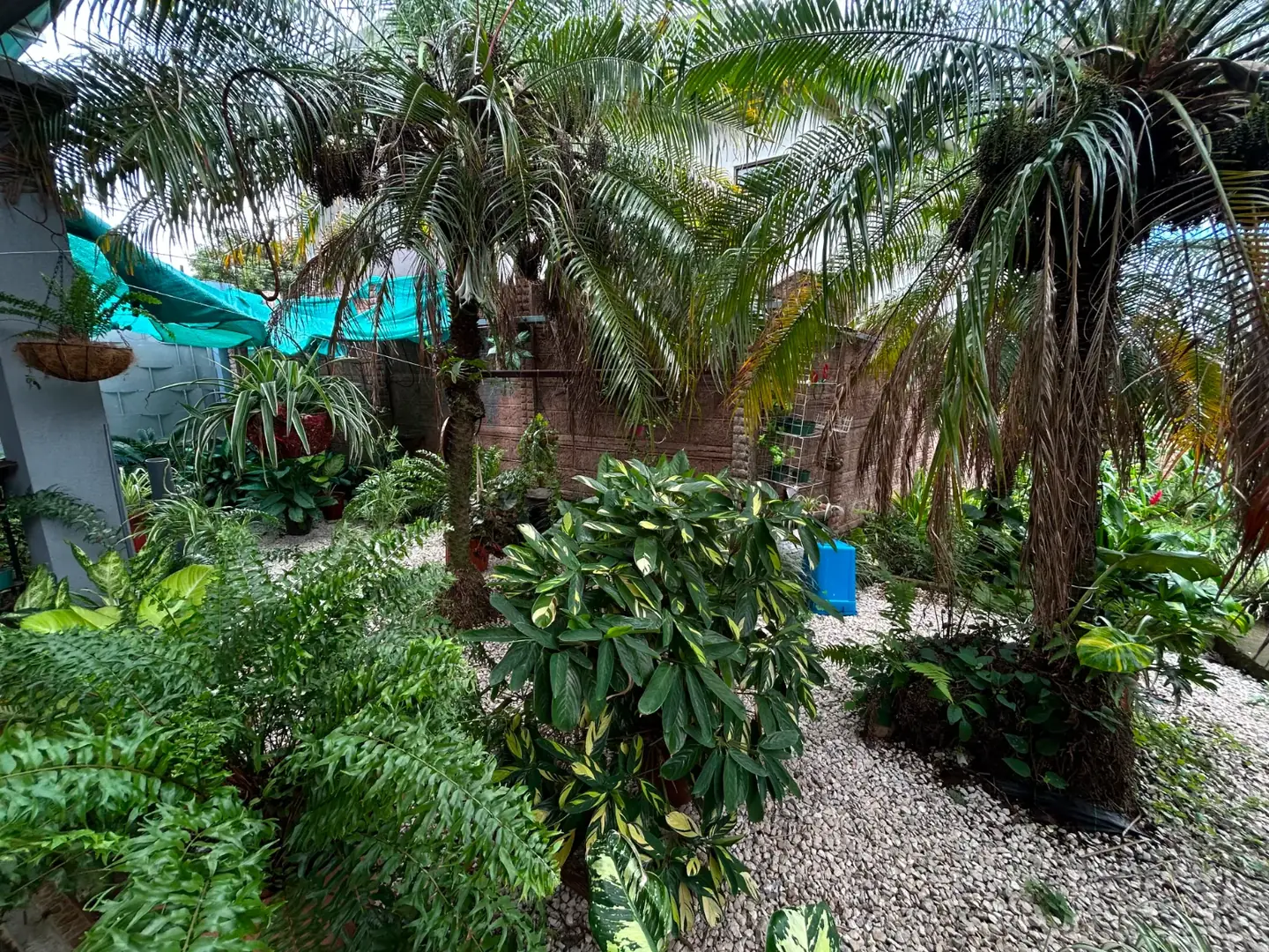 Casa en San Pedro de Poás, Alajuela — foto 6